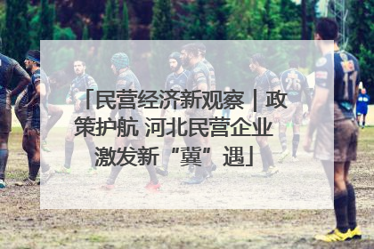 民营经济新观察｜政策护航 河北民营企业激发新“冀”遇
