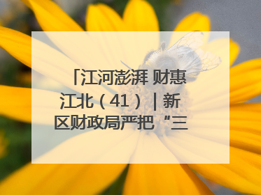 江河澎湃 财惠江北（41）｜新区财政局严把“三关” 绘就“良田美景”