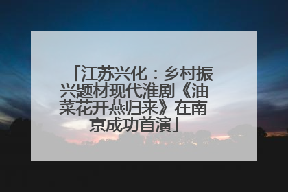 江苏兴化：乡村振兴题材现代淮剧《油菜花开燕归来》在南京成功首演