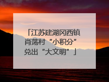 江苏建湖冈西镇肖荡村“小积分”兑出“大文明”