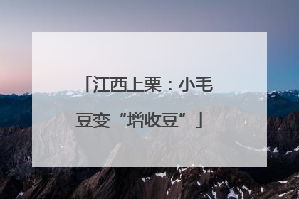 江西上栗：小毛豆变“增收豆”