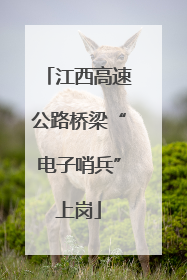 江西高速公路桥梁“电子哨兵”上岗
