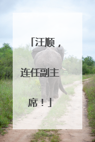 汪顺，连任副主席！