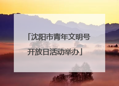 沈阳市青年文明号开放日活动举办