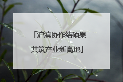 沪滇协作结硕果 共筑产业新高地