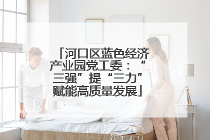 河口区蓝色经济产业园党工委：“三强”提“三力”赋能高质量发展