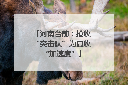 河南台前:抢收“突击队”为夏收“加速度”