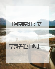 河南南阳：艾草飘香迎丰收