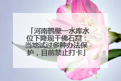 河南鹤壁一水库水位下降现千佛石窟：当地试过多种办法保护，目前禁止打卡
