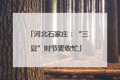 河北石家庄：“三夏”时节麦收忙