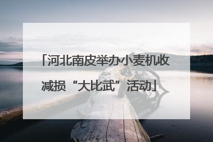 河北南皮举办小麦机收减损“大比武”活动