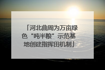 河北曲周为万亩绿色“吨半粮”示范基地创建指挥田机制