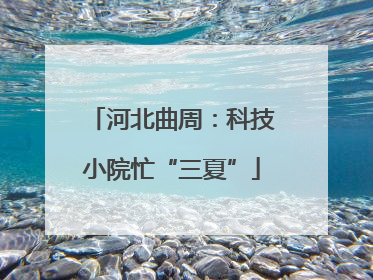 河北曲周：科技小院忙“三夏”