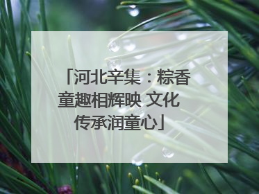 河北辛集：粽香童趣相辉映 文化传承润童心