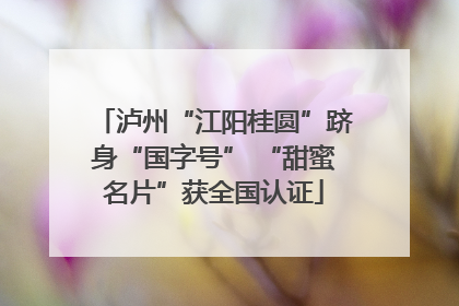 泸州“江阳桂圆”跻身“国字号” “甜蜜名片”获全国认证