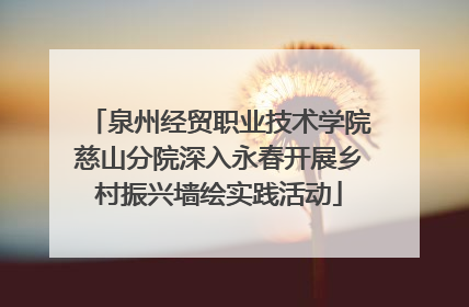 泉州经贸职业技术学院慈山分院深入永春开展乡村振兴墙绘实践活动
