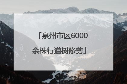 泉州市区6000余株行道树修剪