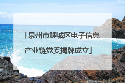 泉州市鲤城区电子信息产业链党委揭牌成立