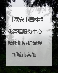 泰安市园林绿化管理服务中心精修细剪护绿焕新城市容颜