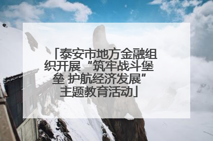 泰安市地方金融组织开展“筑牢战斗堡垒 护航经济发展”主题教育活动
