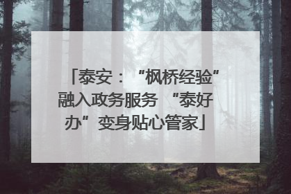 泰安：“枫桥经验”融入政务服务 “泰好办”变身贴心管家
