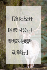 洛阳经开区跨国公司专场对接活动举行