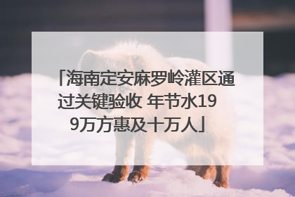 海南定安麻罗岭灌区通过关键验收 年节水199万方惠及十万人