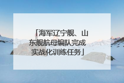 海军辽宁舰、山东舰航母编队完成实战化训练任务