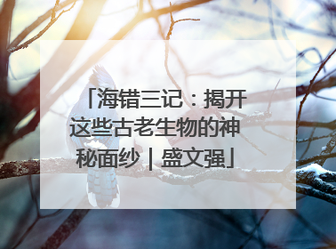 海错三记：揭开这些古老生物的神秘面纱｜盛文强