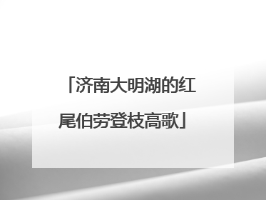 济南大明湖的红尾伯劳登枝高歌