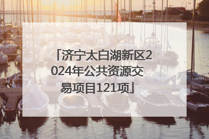 济宁太白湖新区2024年公共资源交易项目121项