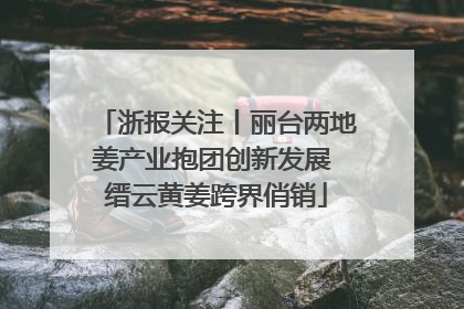 浙报关注丨丽台两地姜产业抱团创新发展 缙云黄姜跨界俏销