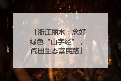 浙江丽水：念好绿色“山字经”，闯出生态富民路