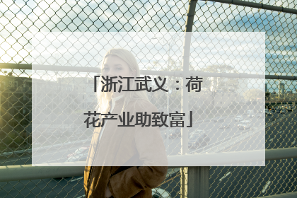 浙江武义：荷花产业助致富