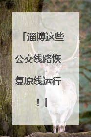 淄博这些公交线路恢复原线运行！