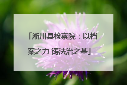 淅川县检察院：以档案之力 铸法治之基