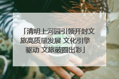 清明上河园引领开封文旅高质量发展 文化引擎驱动 文旅破圈出彩