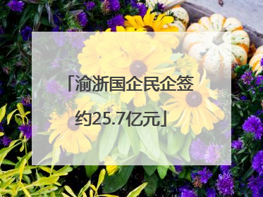渝浙国企民企签约25.7亿元
