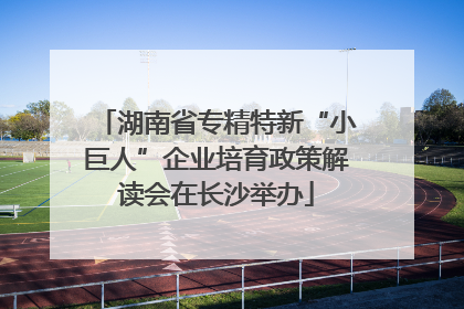 湖南省专精特新“小巨人”企业培育政策解读会在长沙举办