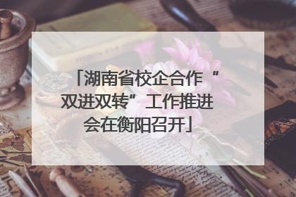 湖南省校企合作“双进双转”工作推进会在衡阳召开