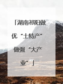 湖南祁阳做优“土特产” 做强“大产业”