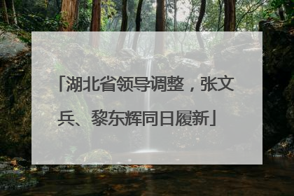 湖北省领导调整，张文兵、黎东辉同日履新