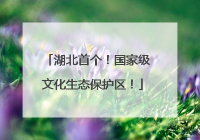 湖北首个！国家级文化生态保护区！