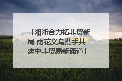 湘浙合力拓非贸新局 雨花义乌携手共建中非贸易新通道