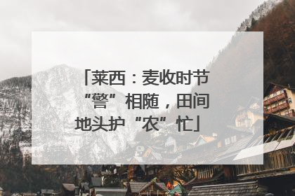莱西：麦收时节“警”相随，田间地头护“农”忙