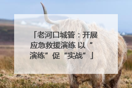 老河口城管：开展应急救援演练 以“演练”促“实战”