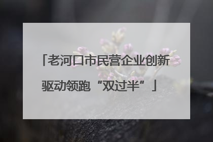 老河口市民营企业创新驱动领跑“双过半”