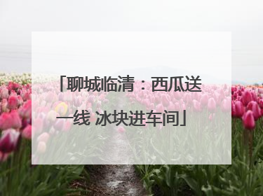 聊城临清：西瓜送一线 冰块进车间