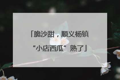 脆沙甜，顺义杨镇“小店西瓜”熟了