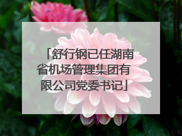 舒行钢已任湖南省机场管理集团有限公司党委书记